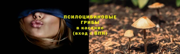 spice Михайловка