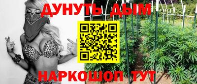 стаф Жуковский