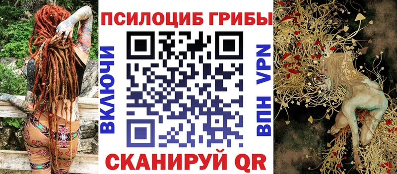 Псилоцибиновые грибы мицелий как найти Заинск