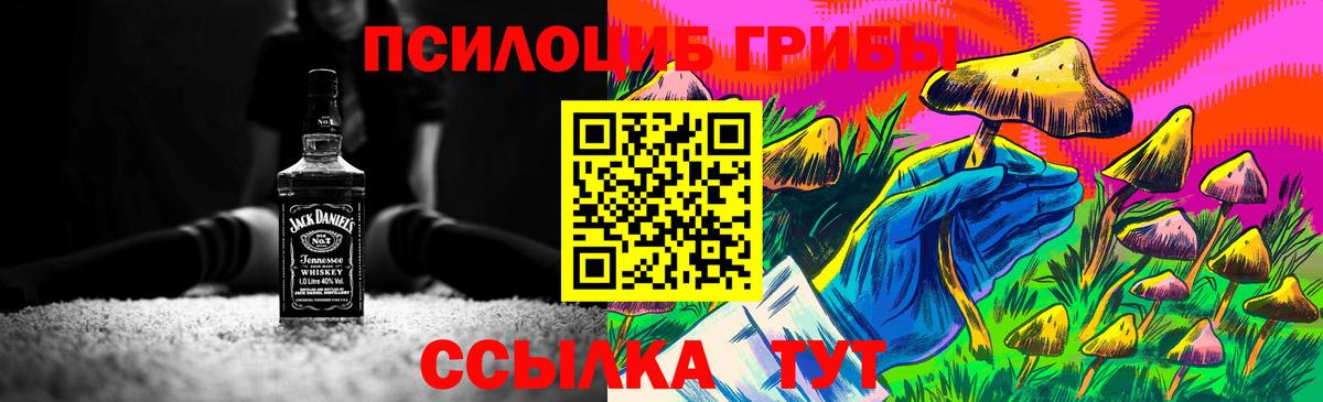 магазин продажи   Галлюциногенные грибы MAGIC MUSHROOMS  Псилоцибиновые грибы прущие грибы  Вход с VPN  Заинск 