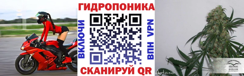 Каннабис сатива  blacksprut зеркало  Заинск  площадка Telegram  где можно купить наркотик 